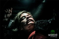 Megalomaniac_victim_car2_photo-Pascal_Bernaerts