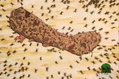 midori-1992-movie-screenshot-12