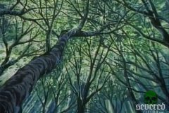 midori-1992-movie-screenshot-27