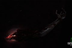 night-of-the-demons-movie-screenshot-00028