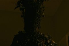 pollen-the-tree-monster