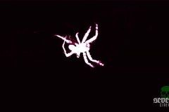 prince-of-the-crimson-void-00002