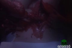 red-account-my-bloody-angel-screenshot-00041