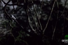 scarecrows-1988-screenshot-00015