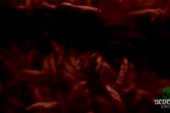 shroud-screenshots-00015