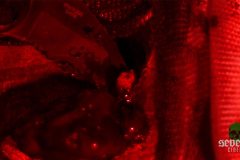slave-dolls-movie-screenshot-00136