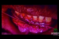 split-2022-screenshot-00015