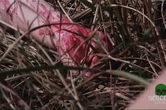 suburb-murder-movie-screenshot-00002