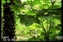taped-up-memories-movie-screenshot-00016