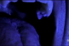the-giallo-tapes-2022-00022