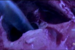 the-giallo-tapes-2022-00023