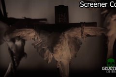 thomas-und-marco-screenshot-00032
