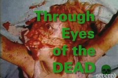 through-eyes-of-the-dead-movie-screenshot-00001