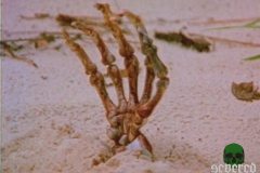 through-eyes-of-the-dead-movie-screenshot-00009