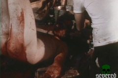 through-eyes-of-the-dead-movie-screenshot-00024