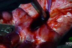 violent-obsession-movie-screenshot-00014