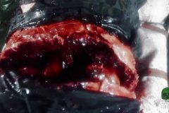 violent-obsession-movie-screenshot-00067