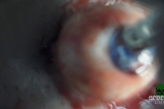 violent-obsession-screenshot-00018