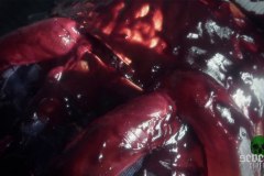 violent-obsession-screenshot-00022