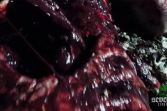 violent-obsession-screenshot-00027