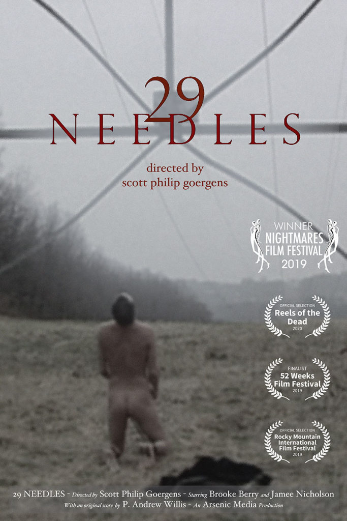 Poster artwork for 29 Needles