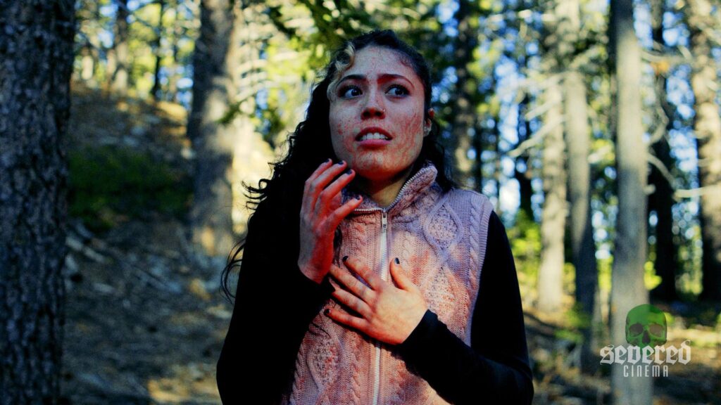 Screenshot from A Man in the Woods with an Axe