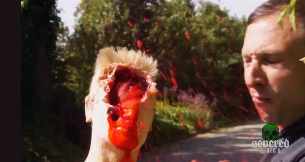 Screenshot from the movie Cement: The Final Brick in the Wall 