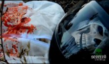 Blood, Guts, and Galactic Terror: ‘Color Space Blood Red’ DVD Review!