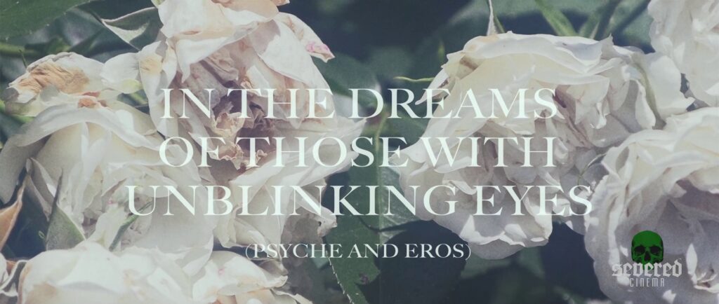 In the Dreams of Those with Unblinking Eyes screenshot