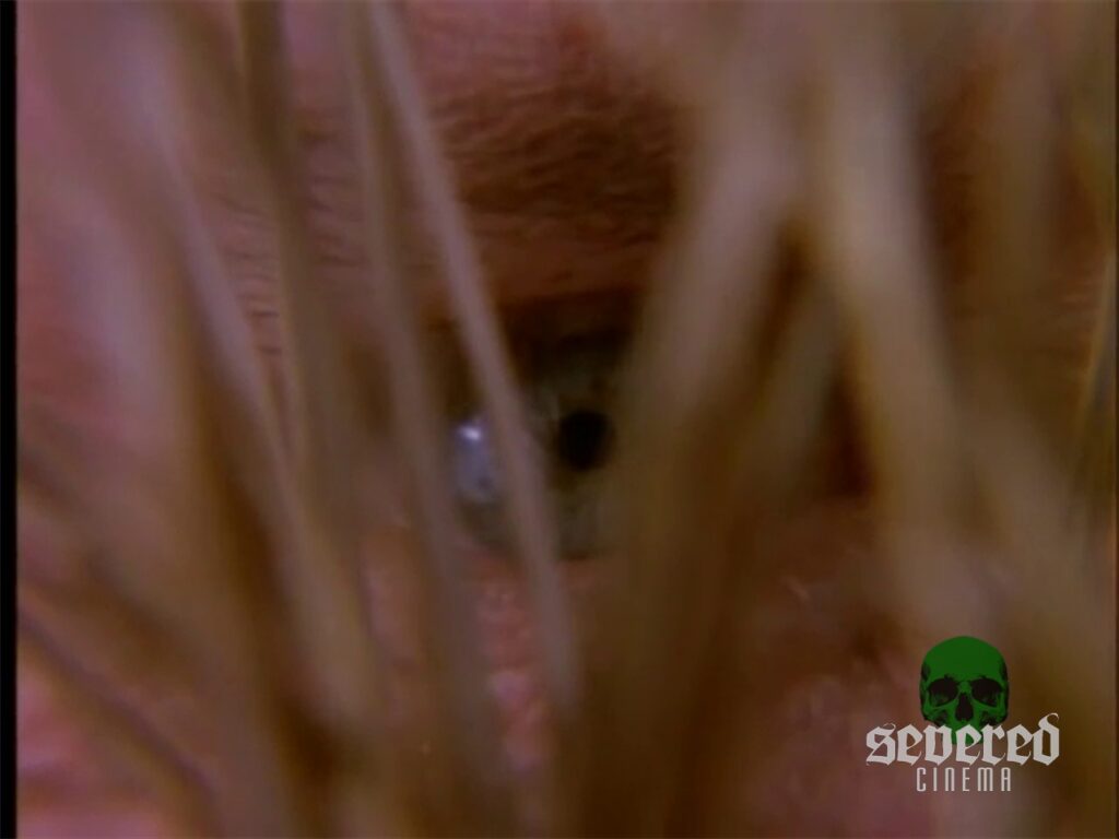 Still image from Little House on the Prairie "Sylvia Part One" episode