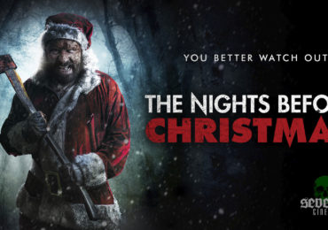 Poster for The Nights Before Christmas