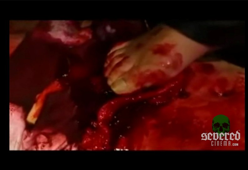 Sadi-Scream volume 2 screenshot