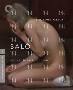 242px x 300px - Searing Analysis: Unveiling the Depths of Torture Porn and the Absurdist  Humour of Pier Paolo Pasolini's 'Salo, or the 120 Days of Sodom' - Severed  Cinema