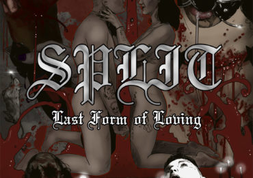 Split: Last Form of Loving cover art by Martin Trafford