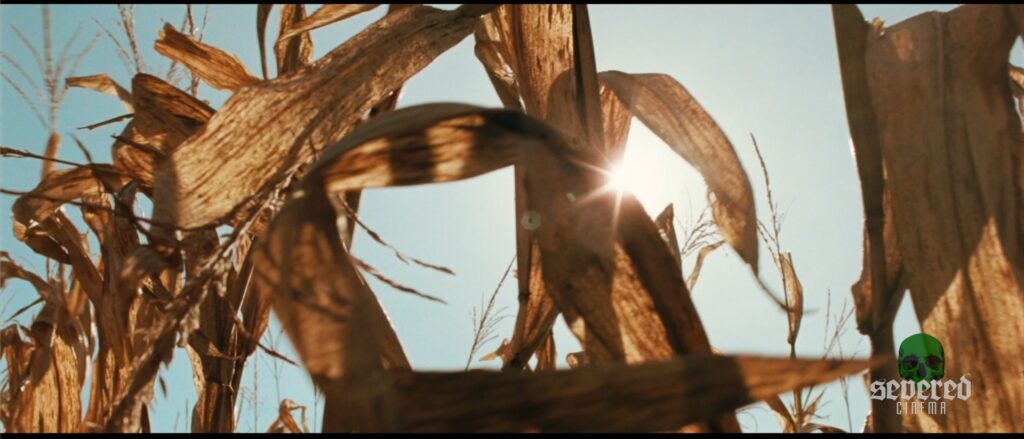 Screenshot from the movie The Rows shot on 33mm film