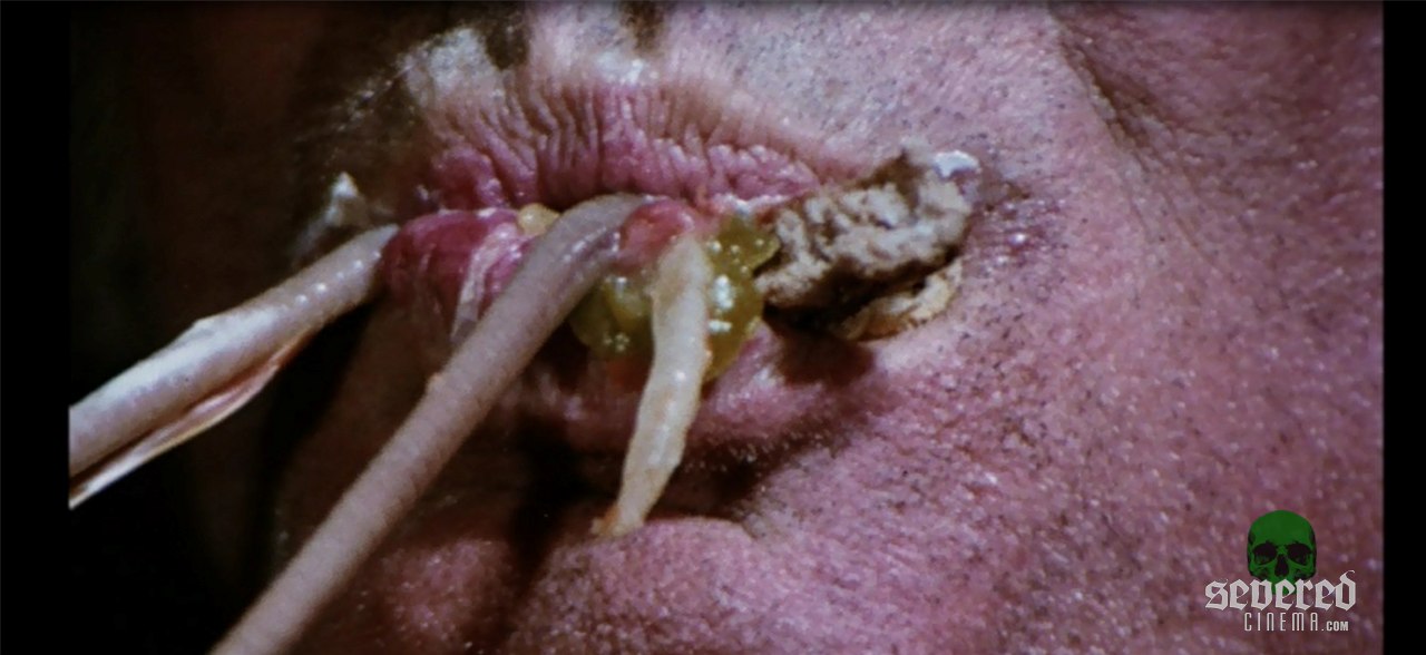 The Worm Eaters movie screenshot