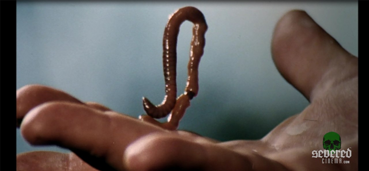 The Worm Eaters movie screenshot